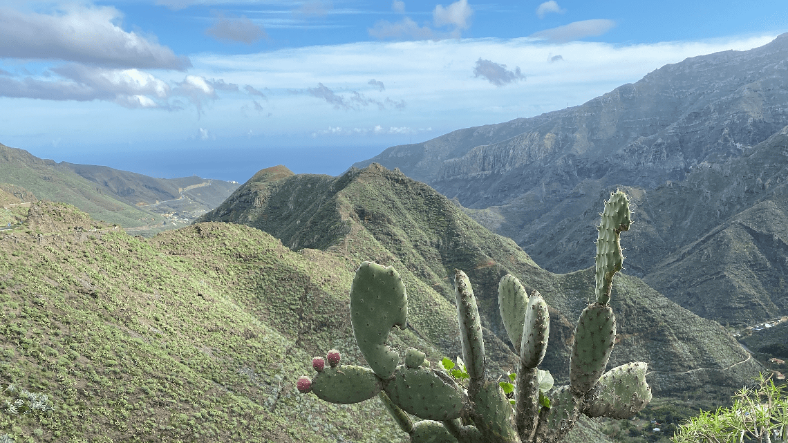 Les îles Canaries (fin)